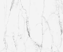 Керамогранит CityMarble Статуарио Венато 7ЛПР R9 (K951837LPR01VTE0) 60x60 от Vitra (Россия)