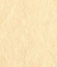 Керамогранит RIVERSTONE IVORY 60x120 от Seranit (Турция)