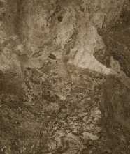 Керамогранит FOSSIL BROWN FULL LAPPATO 60x120 от Seranit (Турция)