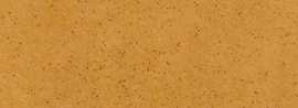 Плитка фасадная Aquarius Beige  24.5x6.58x0.74 от Paradyz (Польша)