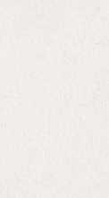 Декор RLV BLOOM PORTWALL WHITE (матовая) Rect. 33.3x100 от TAU Ceramica (Испания)
