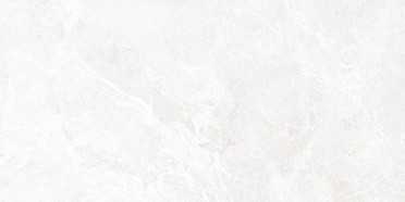Настенная плитка Persey (TWU2550PRS07) 24.9x50 от Alma Ceramica (Россия)