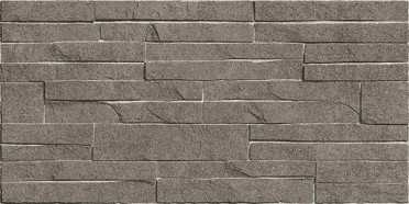 Настенная плитка Discover рельефная (TWU2550DCV24) 24.9x50 от Alma Ceramica (Россия)