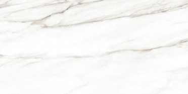Настенная плитка Euphoria (TWU2550EPH04) 24.9x50 от Alma Ceramica (Россия)
