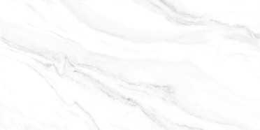 Настенная плитка Fresco (TWU2550FRC07) 24.9x50 от Alma Ceramica (Россия)
