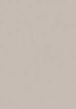 Настенная плитка True Color Fossil RT (fTDU) 50x120 от FAP Ceramiche (Италия)
