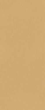 Настенная плитка True Color Caramel RT (fTDS) 50x120 от FAP Ceramiche (Италия)