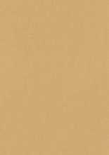 Настенная плитка True Color Caramel RT (fTDS) 50x120 от FAP Ceramiche (Италия)