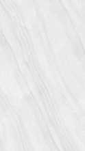 Слэб керамический STELIA BIANCO Polished 80x240x15 от StaroSlabs (Индия)