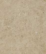 Керамогранит Beren Biscuit Honed (LV10414) 60x120 от Living Ceramics (Испания)