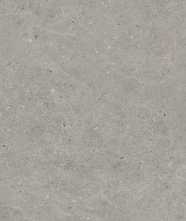 Настенная плитка Bera&Beren Greige Ductile (LV10087) 60x120 от Living Ceramics (Испания)