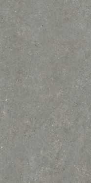 Настенная плитка Bera&Beren Dark Grey Ductile (LV10088) 60x120 от Living Ceramics (Испания)
