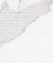 Настенная плитка Blanc Calacatta Gold Cane Ductile (LV10073) 60x120 от Living Ceramics (Испания)