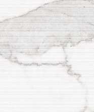 Настенная плитка Blanc Calacatta Cane Ductile (LV10072) 60x120 от Living Ceramics (Испания)
