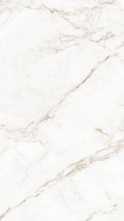 Настенная плитка Blanc Statuario Gold (LV10078) 90x270 от Living Ceramics (Испания)