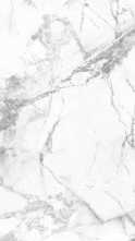 Настенная плитка Blanc Invisible Ductile (LV10079) 90x270 от Living Ceramics (Испания)