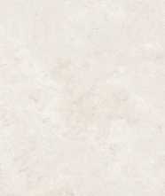 Керамогранит SALMA BONE MATT 59.5x119.2 от ITT Ceramic (Испания)