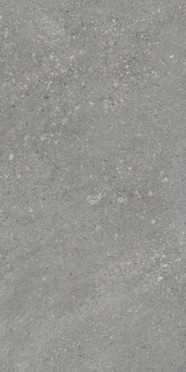 Керамогранит Pietra grey матовый (PT12F7047) 60x120 от Protiles (Узбекистан)