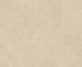 Керамогранит Intense BEIGE natural RT (LGWIN10) 60x60 от LEA Ceramiche (Италия)
