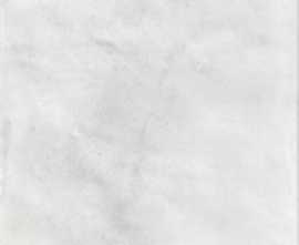 Керамогранит Veranda Cottage White 15x15 от Nanda Tiles (Испания)