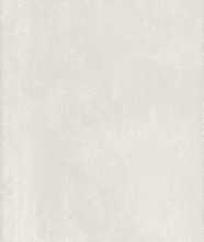 Керамогранит ELEMENT PLATINUM (ELEPLAT60120) 60x120 от MGM Ceramiche (Италия)