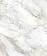 Керамогранит MARMI DI CARARA - B GLOSSY (BLUEZONE) 60x120 от Bluezone (Индия)