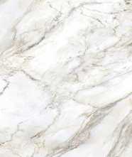 Керамогранит MARMI DI CARARA - A GLOSSY (BLUEZONE) 60x120 от Bluezone (Индия)