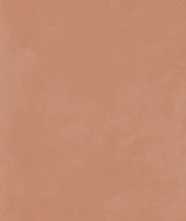 Керамогранит PIGMENTA GEA NAT.RET. (140955) 60x120 от Naxos Ceramica (Италия)