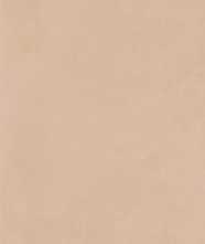 Керамогранит PIGMENTA AURORA NAT.RET. (140956) 60x120 от Naxos Ceramica (Италия)