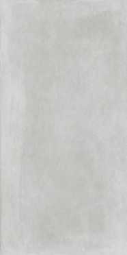 Керамогранит Concept Concrete Grey Matt (N12543) 60x120 от Neodom (Индия)