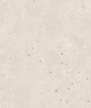 Керамогранит Terrazzo Light Beige Matt (SOHS4703M) 60x120 от Buono (Индия)