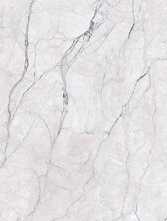 Керамогранит Forest Super White Extra Matt (6 мм) 120x280 от Moreroom (Китай)
