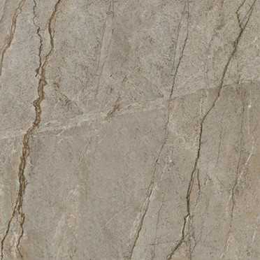 Керамогранит Wild Forest Matt (9 мм) 120x120 от Moreroom (Китай)