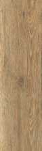 Керамогранит Sweden Caramel матовый 20x120 от Ocean Ceramic (Индия)