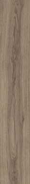 Керамогранит Eternity Natural матовый 20x120 от Ocean Ceramic (Индия)