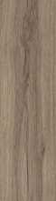 Керамогранит Eternity Natural матовый 20x120 от Ocean Ceramic (Индия)
