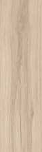 Керамогранит Eternity Beige матовый 20x120 от Ocean Ceramic (Индия)