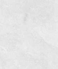 Керамогранит RIZZI Valencia Bianco Matt 60x120 от Staro (Индия)