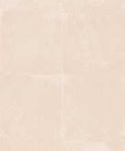 Керамогранит ART BEIGE MT 59x120 от Cerpa Ceramica (Испания)