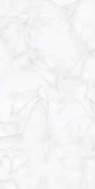 Керамогранит RS Brais White Carving 60x120 от Realistik (Индия)
