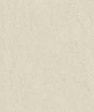 Керамогранит ATENEA CREAM MATT Artech CB 60x120 от Argenta (Испания)