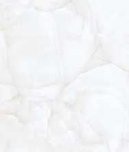 Керамогранит Brais White Glossy 60x120 от Realistik (Индия)