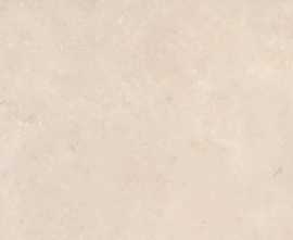 Керамогранит Serica Ivory (n178245) 120x120 от Dado Ceramica (Италия)