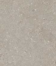 Керамогранит Shellstone Taupe (n163209) 60x120 от Dado Ceramica (Италия)