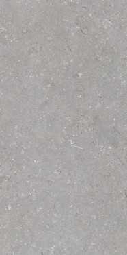 Керамогранит Shellstone Grigio (n163204) 60x120 от Dado Ceramica (Италия)