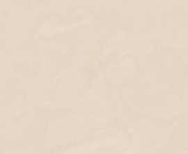 Керамогранит Walk Ivory (n178250) 120x120 от Dado Ceramica (Италия)