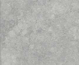 Керамогранит Outdoor Fossil Gris 2cm (n160826) 60x60 от Alpas Euro (Индия)