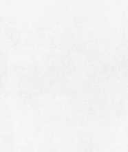 Керамогранит Betonica Blanco PRO светло-серый матовый R11Soft 60x120 от Laparet