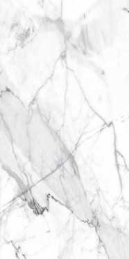 Керамогранит Premium Marble Visage Grey Plus Polished (n141070) 60x120 от Alpas Euro (Индия)