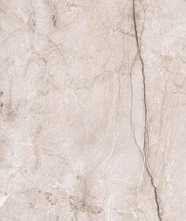 Керамогранит Premium Marble New Tone Polished (VG_2007) 60x120 от Alpas Euro (Индия)